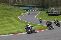 Lower Group Silver_Grey Bikes